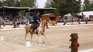 11K views · 75 reactions | Wir waren bei der Pferd International München unterwegs und haben uns mit Lea-Sophie Jell und Mirjam Wittmann über die Besonderheiten der Working Equitation Deutschland unterhalten. Mirjam Wittmann jetzt LIVE im STREAM erleben: ➡️watch.clipmyhorse.tv/PferdInternational-WE | ClipMyHorse.TV Deutschland | Facebook