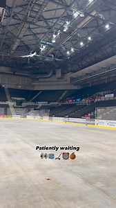 👀 Sheffield Steelers | Utilita Arena Sheffield