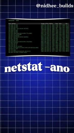 Day 8-Command Line Basics: Simple commands give you real control, faster fixes,and stronger security
