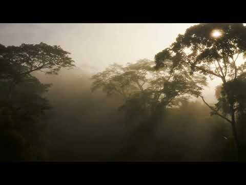 Village Background Music | No Copyright Folk Instrumental for Creators