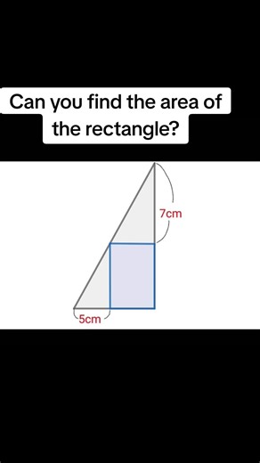 Mathematics Sensei on TikTok