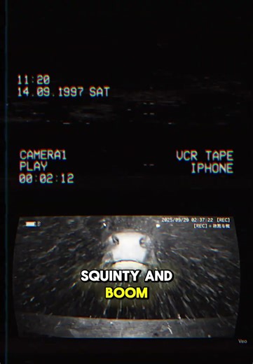 Did That Cow Just… Sneeze Like a Human?! #shorts