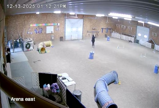 Harley and I practicing today. This was a Grounders Novice course. | PAWSitive Training llc