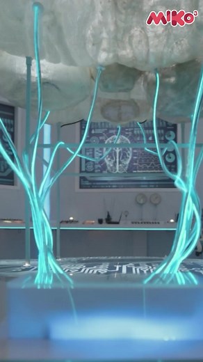 2.7K views | Miko 3 listens, responds, and laughs with kids as they explore the world. With advanced AI, facial recognition, and hundreds of learning apps, it’s both a tutor and a friend. 烙 ✨ What makes it stand out: • Personalised conversations and lessons • Fun apps that teach science, art, and logic • A companion that grows with your child Learn smarter. Play harder. Laugh louder. | Miko | Facebook