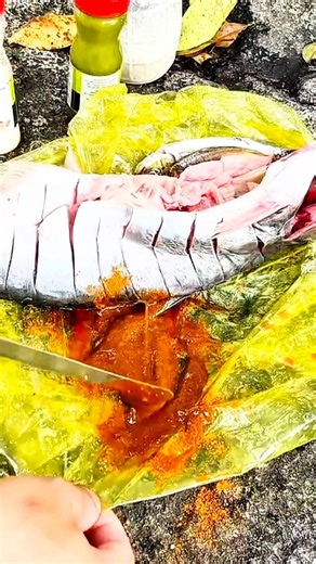 Stone Grilling Catfish in Wild Stream