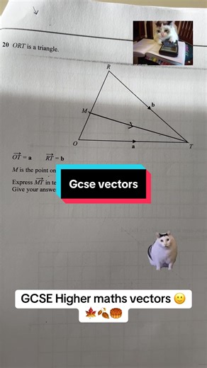 #vectors #gcsevectors #tutoring #mathstutor #gcsehighermaths