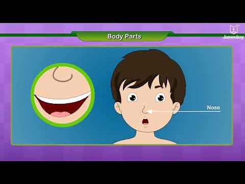 Learn Body Parts For Kids | EVS | Grade 1 | New Spark | Periwinkle