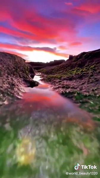 Looking at the world from the perspective of ants—micro world.#scenery #travel