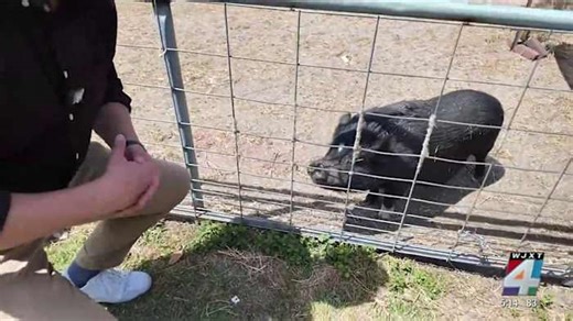 St. Johns County’s LAMP program sets sights on five properties after missing last year’s top priority