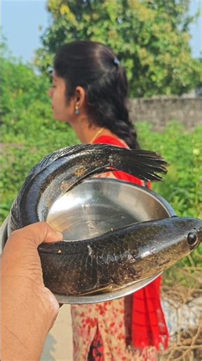 Korameenu Fish Curry 🦈🥘 | Telangana Style Fish Curry | #shorts #mouniscooking