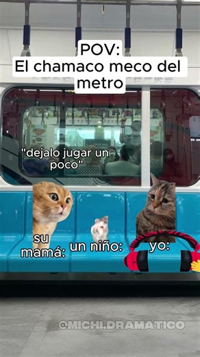 POV: El chamaco meco del metro 😔😔😂#catsoftiktok #humor #meme #cat