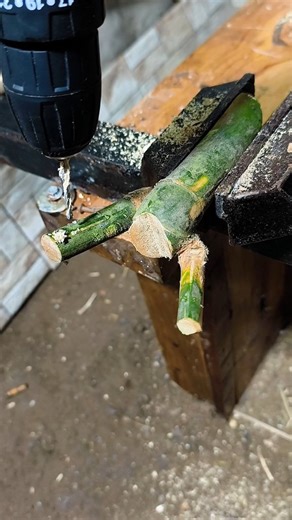 Making a bamboo branch slingshot with two twigs #tutorial #diy #ideas #craft #slingshots # | Azka Bambooart