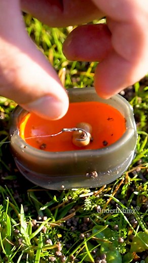 115K views · 848 reactions | Method feeder video on youtube.com/underfishing #fishing #underwater | Underfishing | Facebook