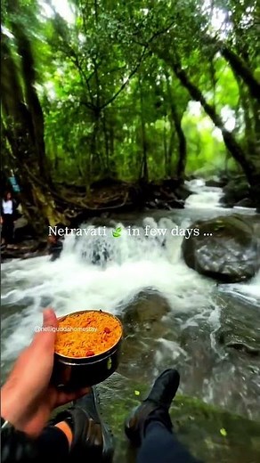 Nethravathi Peak Trekking #nethravathitrekking #travel #new