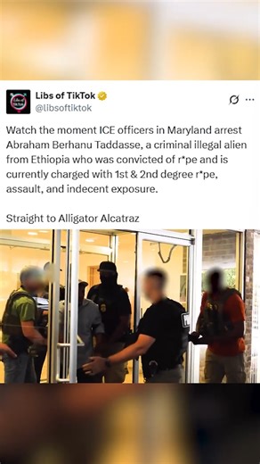 33K views · 3.5K reactions | Straight to Alligator Alcatraz | Libs of Tik Tok | Facebook