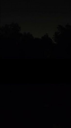 Sound Of Wind And Trees At Night 💨🌳💨🌳 Nature Sounds #shorts