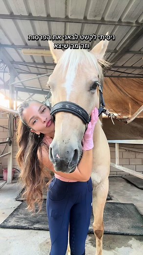 הדרכה לקישוט פרסות הסוסים