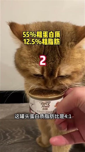 【PuPu噗噗】我家猫，离异带仨娃