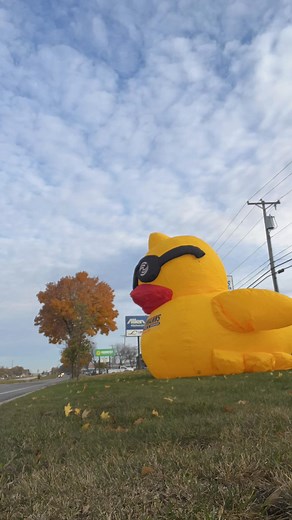 24 reactions | BIG weekend at Bachmanns—and we’re not just talking about the duck. Come for the selfie, stay for BIG Expo deals! . Our Hot Tub & Sauna Expo is on, and we’re not ducking around on savings! ️ | Bachmann Pools & Spas, LLC | Facebook