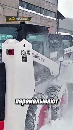 Snow blower with auger rotor