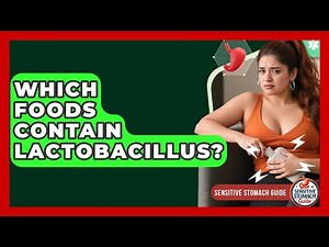Which Foods Contain Lactobacillus? - Sensitive Stomach Guide