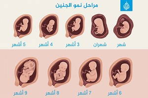 تعرف على مراحل نمو الجنين شهرا بشهر بالصور