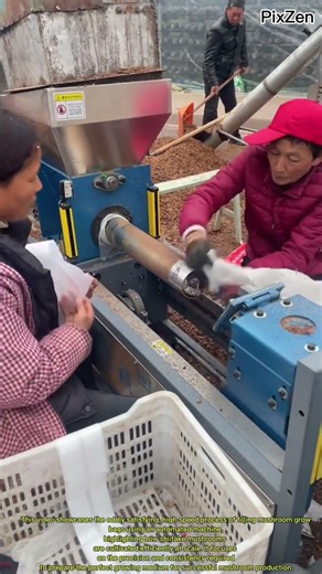 Oddly Satisfying High-Speed Mushroom Bag Filling Machine: How Shiitake Mushrooms Are Grown