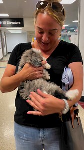 Molly, previously Juicy Fruit, made it all the way to Rhode Island on Saturday. It was totally love at first sight for Diane. 💕 | Wispy Bliss Farms