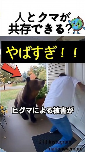 人とクマが共存できる発明！