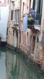 Meanwhile, in Venice, Italy: a cat "helps" with the washing | Mi O My Italy