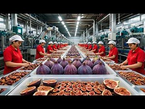How Are Dried Figs Really Made? Insane Automatic Processing Factory & Manufacturing Secrets!