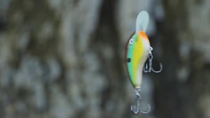 5.1K views · 278 reactions | New❗OG DEEP TINY® 7❗New From a passion of bait building as a childhood hobby to customizing lures as a professional angler, the OG Series is born of the sawdust from Ott DeFoe's Garage. The Rapala® Tiny is a thin, flat-sided balsa bait with a tight wobble and finesse-like action. This thin design and lightweight circuit board lip moves less water and provides a sensitive feel of the bottom structure. | Rapala | Facebook