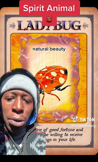 Ladybug Symbolism and Spiritual Meaning Explained