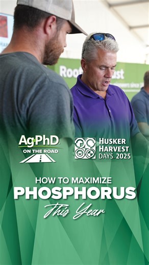 Here is how to maximize phosphorus. | Ag PhD