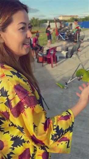 Hahn's Macaws Are So Cute