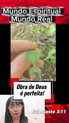 Tudo de Deus é perfeito #mundoespiritual #palavraquesalva #reflexão #motivacional #fe #vigia