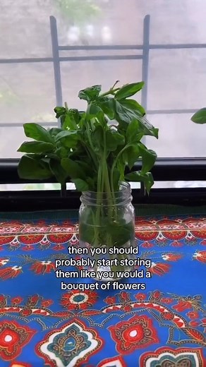 9.9K views · 28 reactions | Here’s our advice for keeping this summery herb fresh and fragrant! Click the link for more herb storage tips: bit.ly/3WILyhQ | Real Simple | Facebook