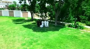 2.5K views · 217 reactions | Aerial View, GPGC Timergara. Courtesy: Muhammad Ibrahim (BS Computer Science, 8th Semester). | Govt. Postgraduate College Timergara | Facebook