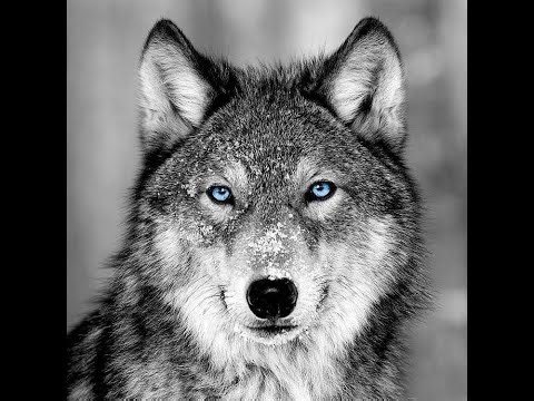 Like a Diamond (extended ver.) - Mr. Bond