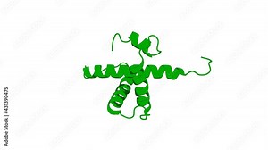 360º realistic 3D rendering of an animated biological molecule over a white background with alpha mask. CBP/p300 TAZ1 domain forms a structured scaffold for ligand binding