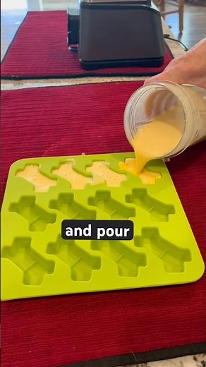 Dog Treats For Constipation or Diarrhea. Easy DIY Recipe Deb Nabb The Mutt Master