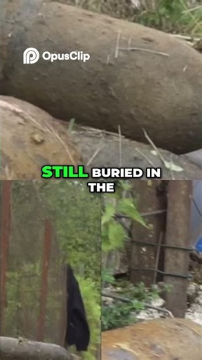 WW1 Unexploded Shells Still Deadly A Century Later #ww1 #history #facts #military #battlefield