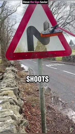 Steve the Sign Savior #facts #Amazing | Facty301