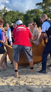 🐢 We are thrilled to share that the last sea turtle has been released! 🥺 She was one of the turtles rescued over a month ago, and when she arrived, she was in pretty rough shape. Thanks to the dedication and patience of our veterinary team, she made a full recovery and finally got her second chance to return to the ocean. 🌊 ✨ We want to give a huge thank you to our donors, your generosity in 2023 made it possible for us to purchase the pools and water pump that have supported the recovery of 