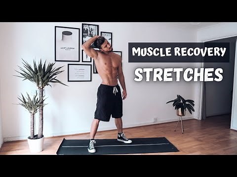 MUSCLE RECOVERY STRETCHES | Follow Along | Rowan Row