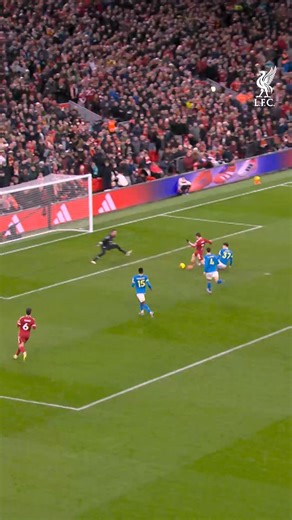 Liverpool Football Club on Instagram: "Flo's first goal for the Reds after lovely work from Hugo ⚽️😍"