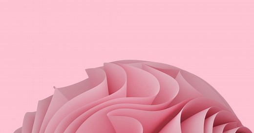 Lábios vaginais: o que são, para quê servem e a questão estética