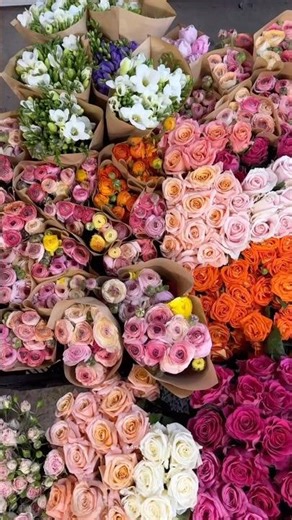 Powerful Dua for Protection from All Evil | Allah’s Shield 🤲