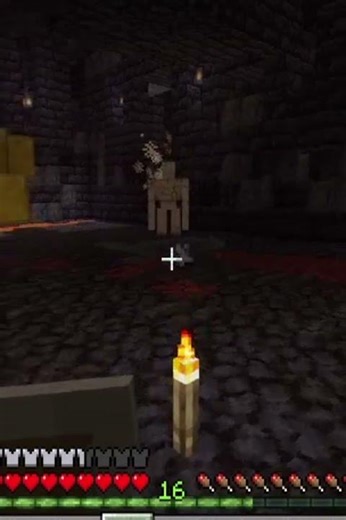 Eres mi gallo!!! #Golmes #minecraft #survival #bastion