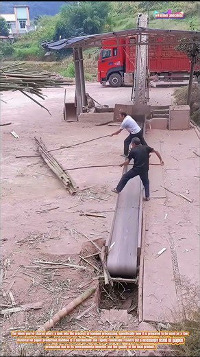 The Process of Bamboo Processing for Paper Production